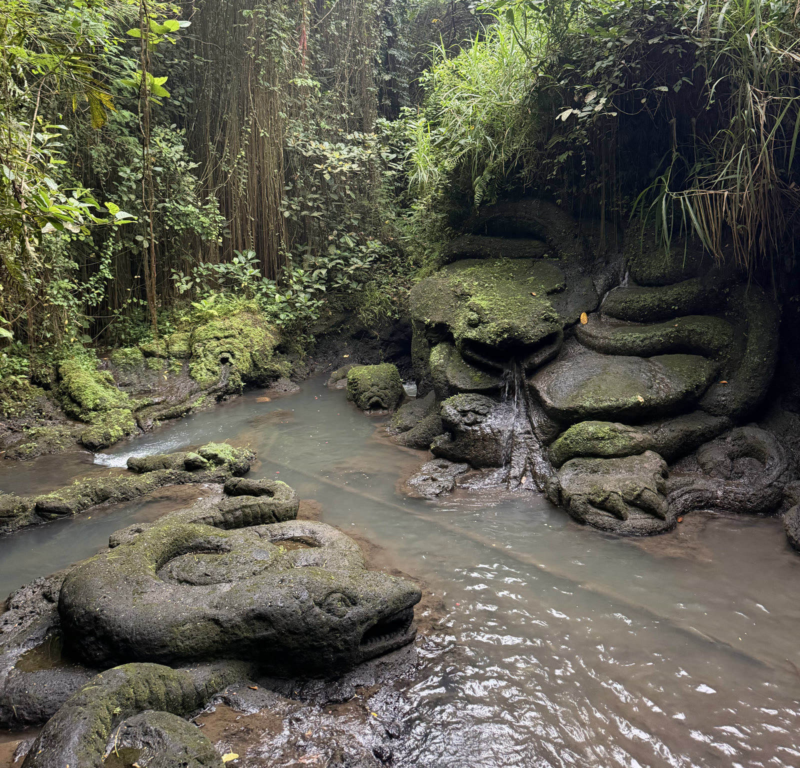 The Waterfall That Washes Your Biography