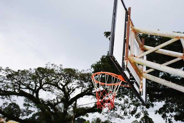Dyan Cannon - Lakers Courtside Seats, Brownies, and Championship Belief
